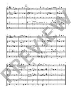 Ragtimes for String Ensemble von Leslie Searle (Download) 