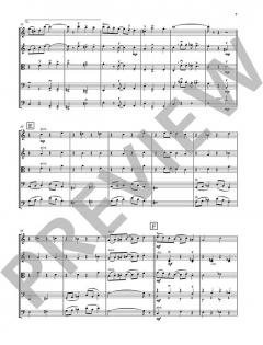 Ragtimes for String Ensemble von Leslie Searle (Download) 