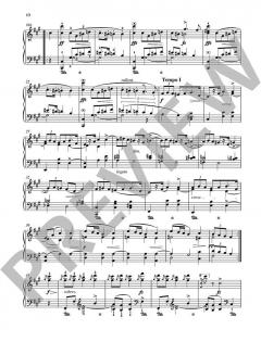 20 ausgewählte Mazurken von Frédéric Chopin (Download) 