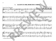 Sämtliche Orgelwerke: Meister der Nordeutschen Orgelschule Band 7 von Johann Praetorius (Download) im Alle Noten Shop kaufen