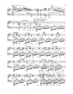 Zu Weihnachten op. 172/5 von Gustav Lange (Download) 