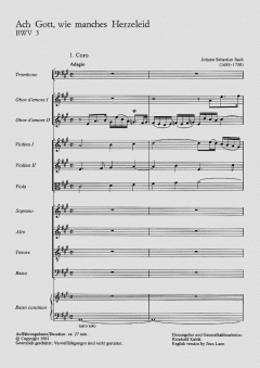 Ach Gott, wie manches Herzeleid (J.S. Bach) 