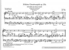 Leichte Orgelwerke 3: 30 kleine Choralvorspiele op. 135a von Max Reger (Download) im Alle Noten Shop kaufen