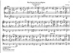 Leichte Orgelwerke 3: 30 kleine Choralvorspiele op. 135a von Max Reger (Download) im Alle Noten Shop kaufen