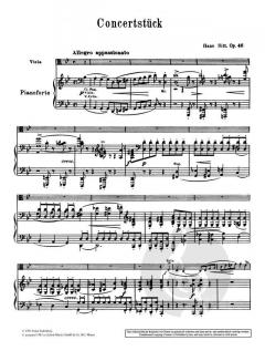 Konzertstück g-Moll op. 46 von Hans Sitt 