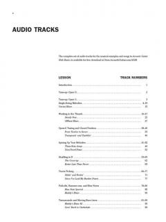 Acoustic Guitar Slide Basics von David Hamburger 