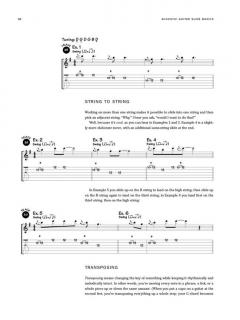 Acoustic Guitar Slide Basics von David Hamburger 