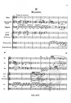 Serenade d-Moll op. 44 B 77 von Antonín Dvořák 