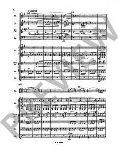 Italienische Serenade G-Dur von Hugo Wolf 