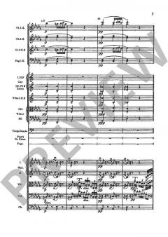 Slawische Tänze op. 72/5-8 B 147 von Antonín Dvořák 