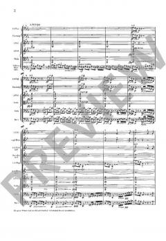 Sinfonie Nr. 2 c-Moll 