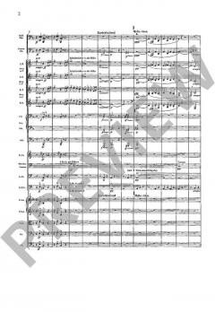 Sinfonie Nr. 3 d-Moll 