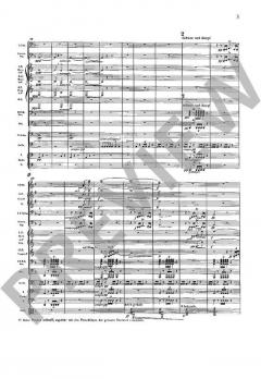 Sinfonie Nr. 3 d-Moll 