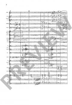 Sinfonie Nr. 3 d-Moll 