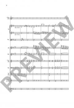 Konzert Nr. 1 op. 73 N.11 von Carl Maria von Weber 