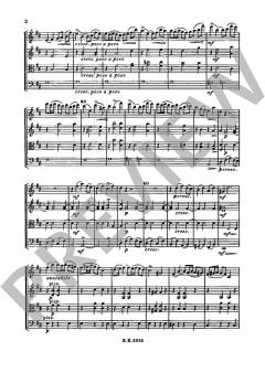 Streichquartett Nr. 2 D-Dur von Alexander Borodin im Alle Noten Shop kaufen