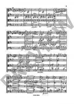 Streichquartett Nr. 2 D-Dur von Alexander Borodin im Alle Noten Shop kaufen