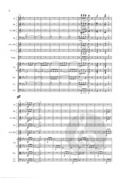 Symphonie Nr. 5 c-Moll op. 67 von Ludwig van Beethoven 