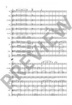 Symphonie Nr. 5 c-Moll op. 67 von Ludwig van Beethoven 