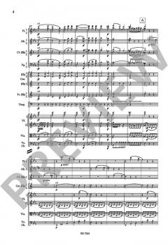 Symphonie Nr. 3 Es-Dur op. 55 von Ludwig van Beethoven 