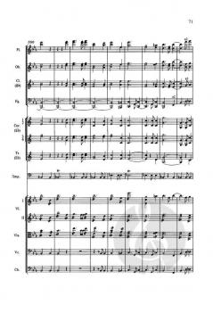 Sinfonie Nr. 3 Es-Dur op. 97 von Robert Schumann 