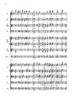 Sinfonie Nr. 3 Es-Dur op. 97 von Robert Schumann 