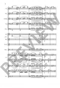 Sinfonie Nr. 1 c-Moll op. 68 von Johannes Brahms 