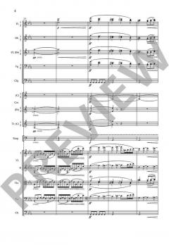 Sinfonie Nr. 1 c-Moll op. 68 von Johannes Brahms 