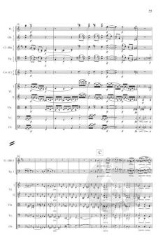 Sinfonie Nr. 3 F-Dur op. 90 von Johannes Brahms 