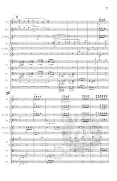 Sinfonie Nr. 3 F-Dur op. 90 von Johannes Brahms 