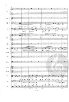 Sinfonie Nr. 8 G-Dur op. 88 B 163 von Antonín Dvořák 