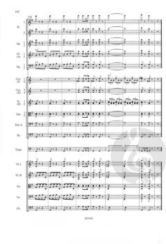 Sinfonie Nr. 8 G-Dur op. 88 B 163 von Antonín Dvořák 