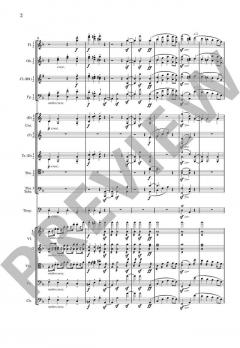 Tragische Ouvertüre op. 81 von Johannes Brahms 