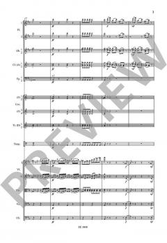 Konzert D-Dur op. 35 CW 54 von Peter Iljitsch Tschaikowsky 