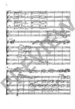 Konzert a-Moll op. 82 von Carl Hillmann 