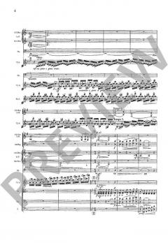 Violinkonzert d-Moll op. 47 von Jean Sibelius 