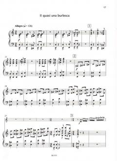 Konzert für Flöte und Orchester von Peteris Vasks (Download) im Alle Noten Shop kaufen