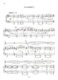 Konzert für Flöte und Orchester von Peteris Vasks (Download) im Alle Noten Shop kaufen