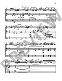 Fantaisie pastorale hongroise op. 26 von Árpád Doppler (Download) 