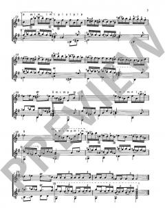 Sonate von Ernst Gottlieb Baron (Download) 