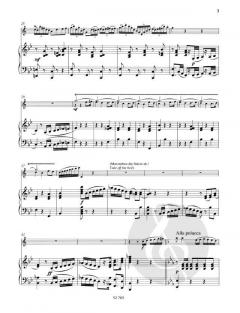 Immer kleiner von Adolph Schreiner (Download) 