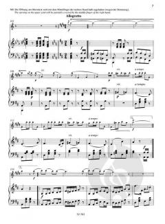 Immer kleiner von Adolph Schreiner (Download) 