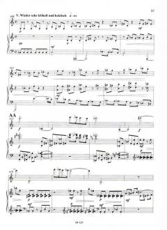 Konzert op. 33 von Stefan Heucke (Download) 