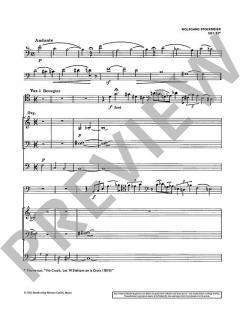 Variationen über ein Thema von Liszt Wk 249 von Wolfgang Stockmeier 