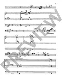 Variationen über ein Thema von Liszt Wk 249 von Wolfgang Stockmeier 