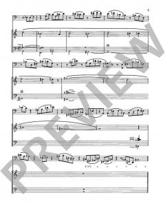 Variationen über ein Thema von Liszt Wk 249 von Wolfgang Stockmeier 