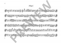 4 Spiegelkanons von Wolfgang Amadeus Mozart 