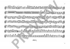 4 Spiegelkanons von Wolfgang Amadeus Mozart 