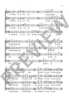 Chor der Sterne von Felicitas Kukuck 