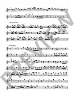 Konzert B-Dur TWV 52:B1 von Georg Philipp Telemann 